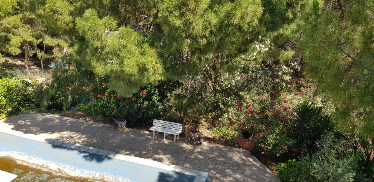 19-06-2019_20190619_113827 - copia.jpg